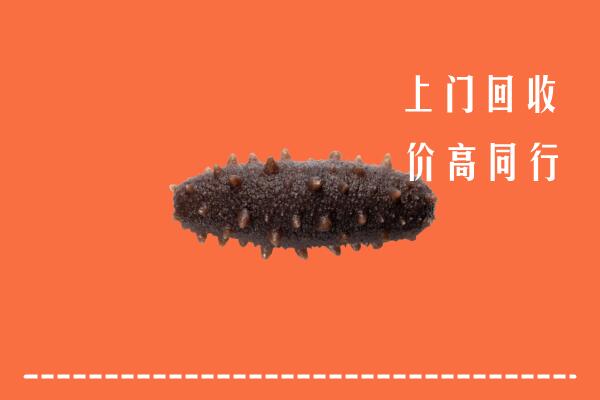 铜仁市沿河县回收海参